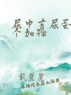 尿中有尿蛋白一个加号