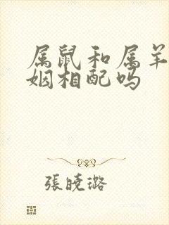 属鼠和属羊的婚姻相配吗