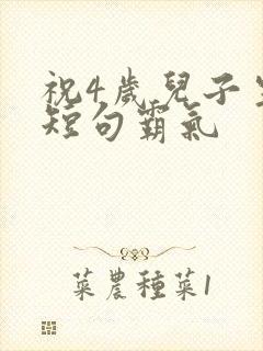 祝4岁儿子生日短句霸气