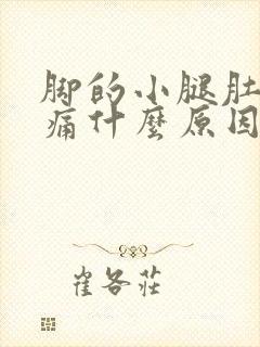 脚的小腿肚子胀痛什么原因