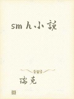 sm h小说