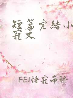 短篇完结小说甜宠文