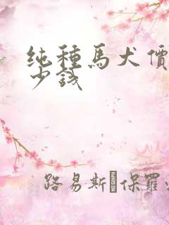 纯种马犬价格多少钱