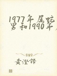 1977年属蛇男和1990年属马女合不合