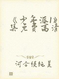 《少年派1》全集免费高清