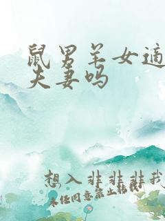 鼠男羊女适合做夫妻吗