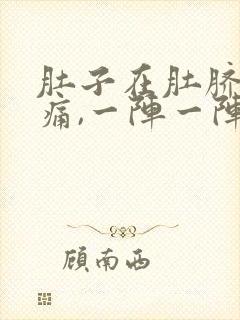 肚子在肚脐周围痛,一阵一阵什么原因