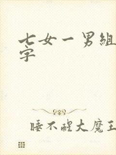 七女一男组合名字