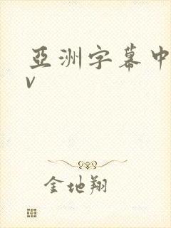 亚洲字幕中文av