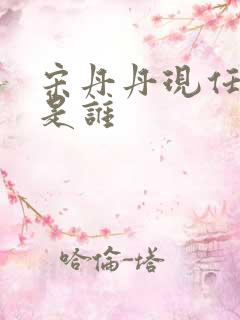 宋丹丹现任老公是谁