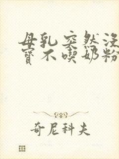 母乳突然没了宝宝不吃奶粉怎么办