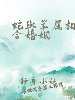 蛇与羊属相合不合婚姻