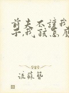 前夫不让我看孩子,我该怎么办