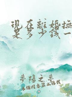 现在离婚抚养费是多少钱一个月