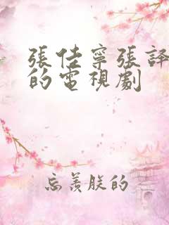 张佳宁张译合作的电视剧