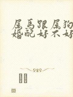 属马跟属狗的人婚配好不好呢