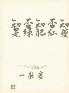 知否知否知否应是绿肥红瘦一共多少集