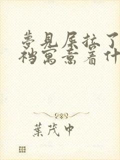 梦见屎拉了一裤裆寓意着什么