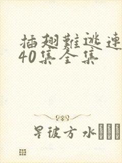 插翅难逃连续剧40集全集