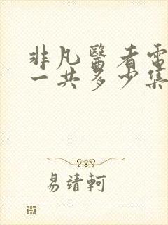 非凡医者电视剧一共多少集