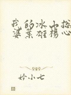 我的冰山总裁老婆叶雄杨心怡