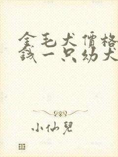 金毛犬价格多少钱一只幼犬