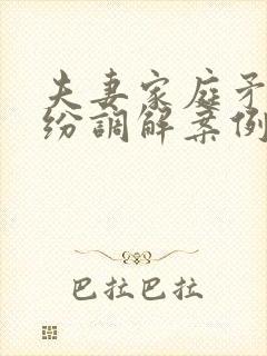 夫妻家庭矛盾纠纷调解案例