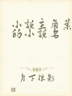 小说主角叶无道的小说名