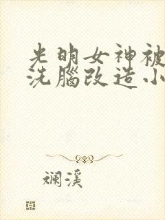 光明女神被邪神洗脑改造小说