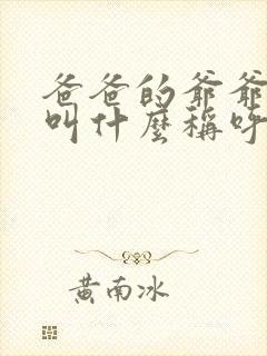 爸爸的爷爷应该叫什么称呼