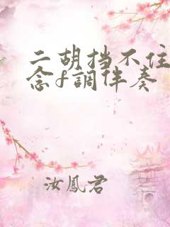 二胡挡不住的思念f调伴奏