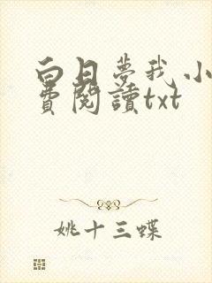 白日梦我小说免费阅读txt