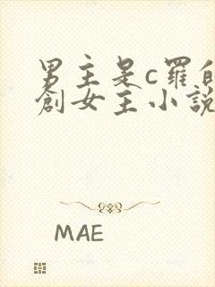 男主是c罗的原创女主小说