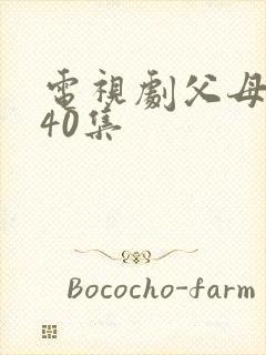 电视剧父母爱情40集