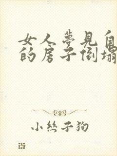 女人梦见自己家的房子倒塌是什么预兆