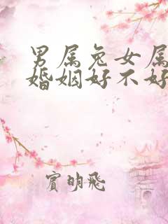 男属兔女属鸡的婚姻好不好