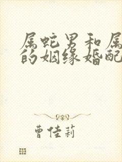 属蛇男和属兔女的姻缘婚配