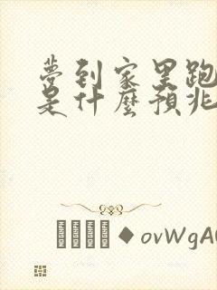 梦到家里跑水了是什么预兆