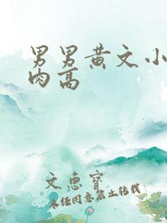 男男黄文小说纯肉高