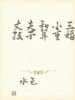 丈夫和小三有了孩子算重婚吗