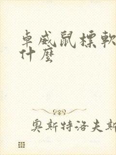 卓威鼠标软件叫什么