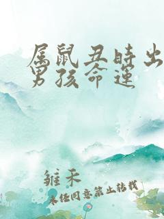 属鼠丑时出生的男孩命运