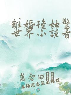 离婚后她惊艳了世界小说看