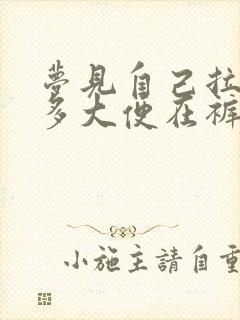 梦见自己拉了很多大便在裤裆里