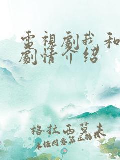 电视剧我和丈娘剧情介绍