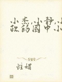 小杰,小静,小政的国中小说