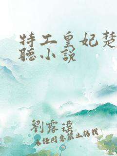 特工皇妃楚乔传听小说