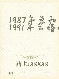 1987年兔和1991年羊婚姻相配吗
