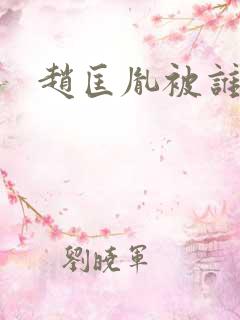 赵匡胤被谁杀的