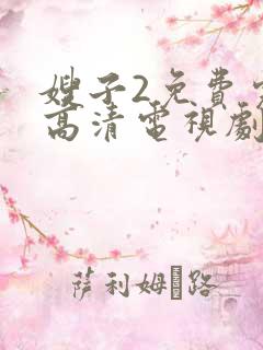 嫂子2免费完整高清电视剧在线观看